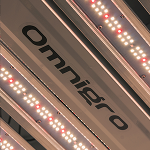 Canopy Master PRO — detalle dimmer