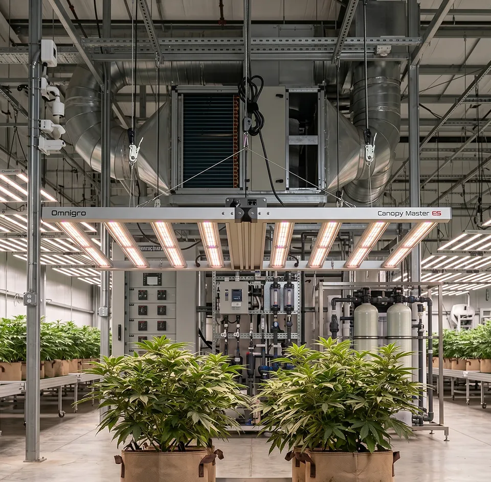 Sala profesional iluminada con Canopy Master PRO — postventa Omnigro